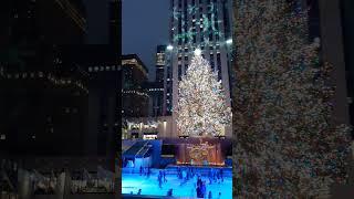 미국 미국여행 뉴욕 뉴욕여행 크리스마스 록펠러센터 스케이트장 Skate Saks Fifth Rockfeller Center Christmas Tree Newyork USA