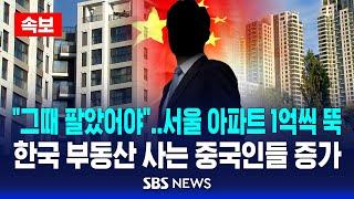 [속보] '얼죽신'도 부동산 한파에 휘청..한국서 집 사는 중국인 늘었다 / SBS