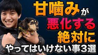 甘噛みが悪化する絶対にやってはいけない事3選