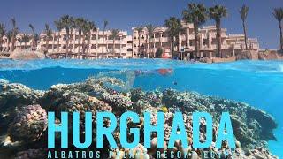 ESCAPING the european winter to HURGHADA, EGYPT  (Albatros Palace Resort)