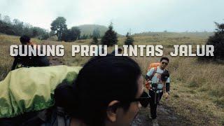 Gunung Prau | Via Patak Banteng Lintas Dieng | SOLO