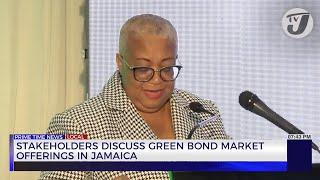 Stakeholders Discuss Green Bond Market Offerings in Jamaica | TVJ Business Day