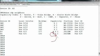 Cisco Discovery Protocol (CDP)