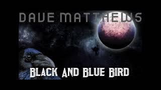 Dave Matthews Band - Black And Blue Bird (Instrumental)