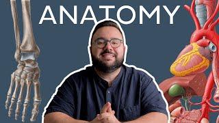 How to study Human anatomy: All you need to know | Kenhub