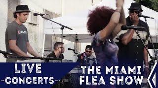 Tomas Diaz - Miami Flea Show