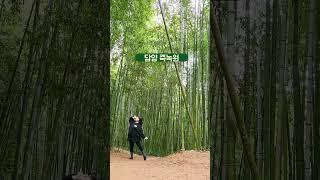 1월 겨울여행 모음 #shorts 경미한여행