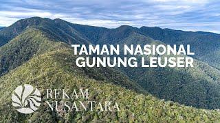 Taman Nasional Gunung Leuser | Leuser Ecosystem Rainforest