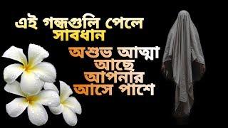 আপনি জানেন কি হটাৎ করে এই সব গন্ধ পেলে আপনার আসে পাশে থাকতে পারে পেত্মাতা