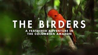 THE BIRDERS | A feathered adventure in the Colombian Amazon.