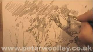 A Sketch A Day: Woodland Walk - Sketching Demonstration by PETER WOOLLEY