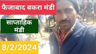 Faizabad Bakra Mandi फैजाबाद बकरा मंडी आज का रेट#goatfarming #bakri #बकरे rk goat farming ayodhya