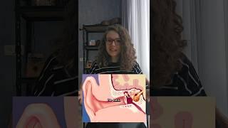 О пользе музыки‍️ #наука #музыка #искусство
