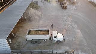 Cattle Feeding Process at Greiman Brothers