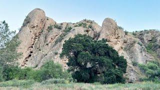 Violent History: Hanging Tree "The Castaic Range War 1890-1916"