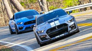 Risking EVERYTHING Chasing Down this Shelby GT500...