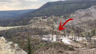 Chilcotin River is starting To overflow slide Area | video 5 Aug 2024