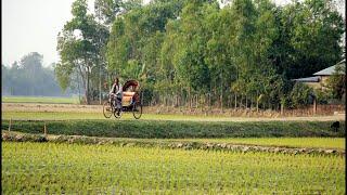 গ্রামীন জীবন ও প্রকৃতি রুপকথা || Bangladesh Rural life and nature