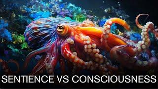 The Difference Between Consciousness and Sentience