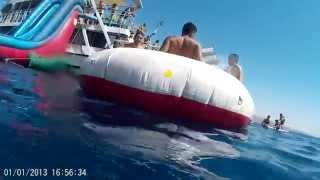 SJ4000 under water - HD test  - Gilad in Eilat 2014