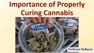 Importance of Properly Curing Cannabis