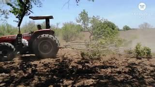 Pasos para realizar una siembra mecanizada de Híbridos Papalotla.