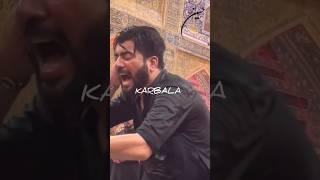 Subhan Rabi yal ala Mir Hassan Mir noha #karbala #ashora #mirhassanmir #kazmibrothers110 #noha2023