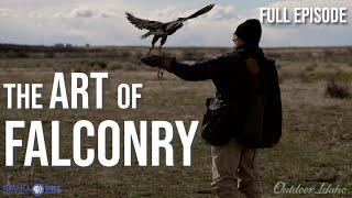 The Art of Falconry