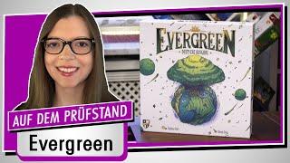 Spiel doch mal EVERGREEN! - Brettspiel Rezension Meinung Test #434