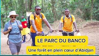 Côte d’Ivoire - Le Parc National du Banco, une forêt en plein cœur d’Abidjan.