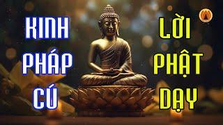 Kinh Pháp Cú - 423 Lời Vàng Phật Dạy || Thanh Tịnh Pháp