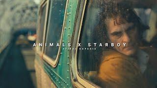 Animals x Starboy | Full Version | Aviral Kapasia | Slowed+Reverb