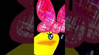Pooz