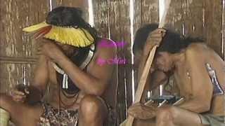 The Kayapo tribe, need our help! La tribu Kayapo necesita su ayuda!