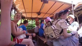 Florida Vlog 2022 - Day 8 - Magic Kingdom - Enchanted Tiki Room, Jungle Cruise, Contemporary