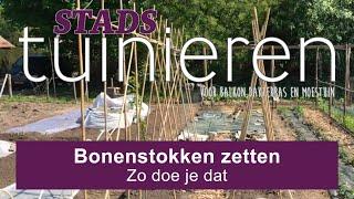 Stadstuinieren - Bonenstokken stevig zetten #moestuin