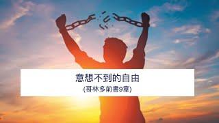 【意想不到的自由】｜陳嘉信牧師｜哥林多前書9章｜恩福中心主日中堂崇拜 | 2024-11-17