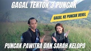 TEKTOK PUNCAK PAWITRA DAN PUNCAK SARAH KELOPO VIA KEDUNGUDI || GUNUNG PENANGGUNGAN