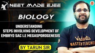 NEET Botany 2025 | Understanding Steps of Embryo Sac Development | Megasporogenesis | Tarun Sir