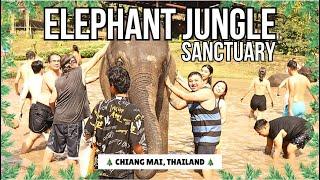 ELEPHANT JUNGLE SANCTUARY EXPERIENCE IN CHIANG MAI, THAILAND  | LET'S SUPPORT ELEPHANT SANCTUARY