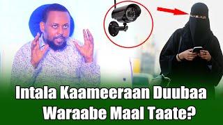 Intala Kaameeraan Duubaa Waraabe Maal Taate?