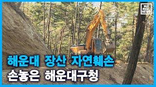 해운대 장산 자연훼손 손놓은 해운대구청 (2021-02-09,화/뉴스데스크/부산MBC)