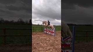 Ivy & her 17hh Stallion Crown’s Ace of Pearl. #showjumper #equestrian #rider #equestrian girl