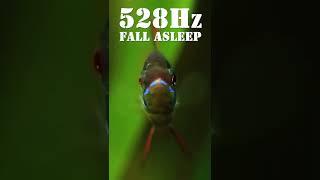 528 Hz Fall Asleep in Under 3 MINUTES | Melatonin Release  | Body Mind Restoration | Music of Angels