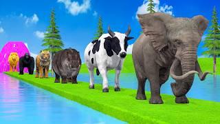 Paint & Animals Duck,Gorilla,Lion,Elephant,Cow,Sheep Fountain Crossing Transformation Animal Cartoon