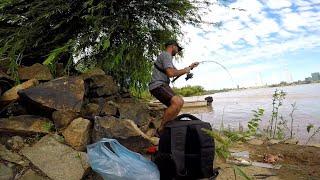 PESCA URBANA, Pescando y cocinando en la isla, "PESCA Y COCINA" Apareció Yarará