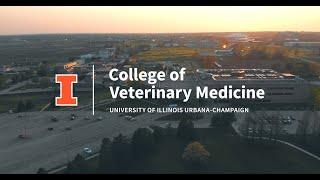 Virtually Visit the University of Illinois College of Veterinary Medicine