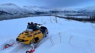 ‘02 Ski-Doo MXZx 440 - the last of their trailing arm race sleds.