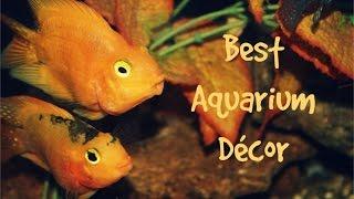 Best Fish Tank Décor
