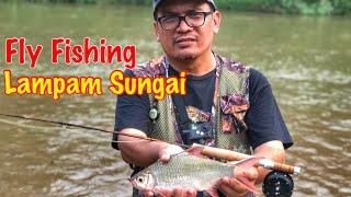 malaysia fly fishing lampam